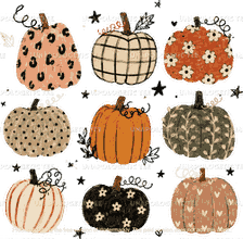 Boho Pumpkins-DTF Transfer